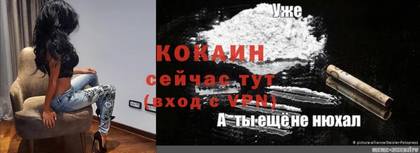 шишки Арсеньев