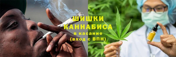 шишки Арсеньев
