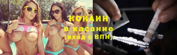 шишки Арсеньев