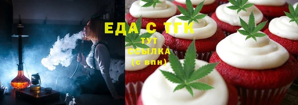 шишки Арсеньев