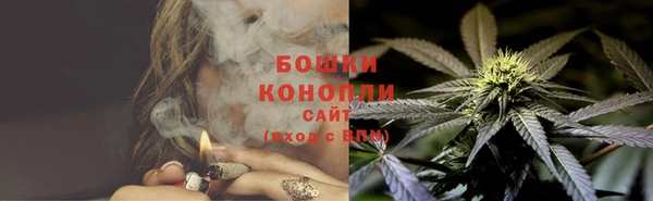 шишки Арсеньев