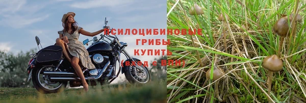 каннабис Армянск
