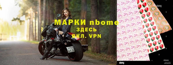 шишки Арсеньев