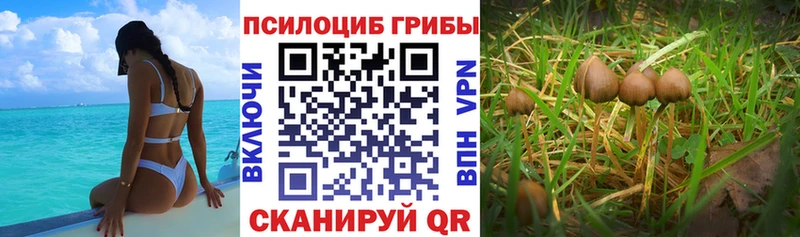 Галлюциногенные грибы MAGIC MUSHROOMS  Кировск 